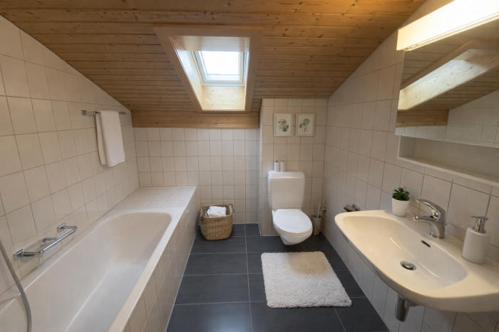 Helles Dachbad mit Badewanne und Dachfenster